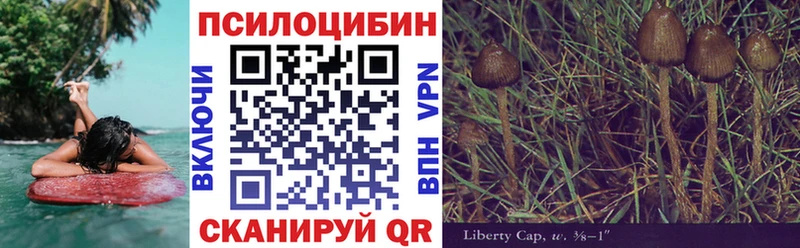Псилоцибиновые грибы Psilocybine cubensis Камышлов